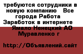 требуются сотрудники в новую компанию - Все города Работа » Заработок в интернете   . Ямало-Ненецкий АО,Муравленко г.